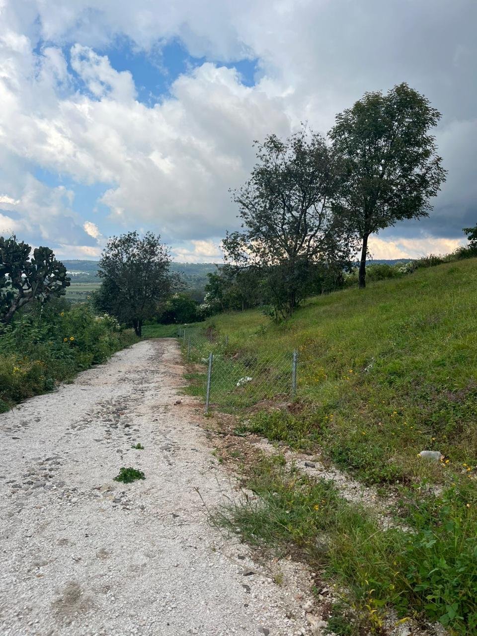 Camino de acceso a los terrenos en Atemajac de Brizuela